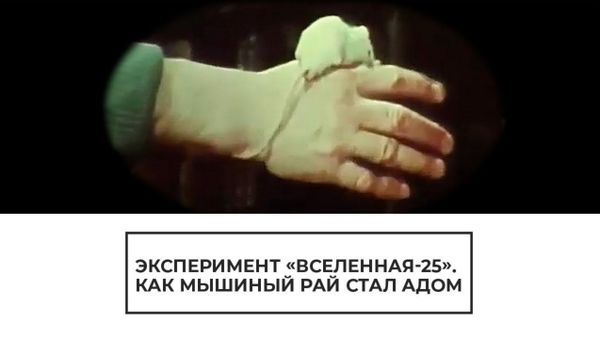 Эксперимент Вселенная-25 - Sputnik Армения