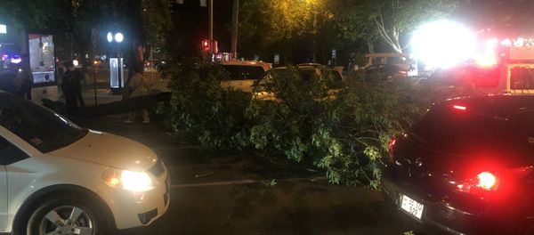 Упавшее дерево на пересечении проспекта Баграмяна и улицы Московяна (8 июня 2020). Еревaн - Sputnik Արմենիա