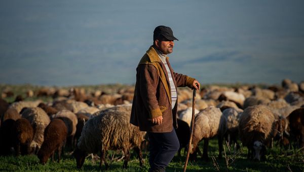 От Арагаца до Арарата: народ, который любит армянские горы не меньше армян - Sputnik Армения