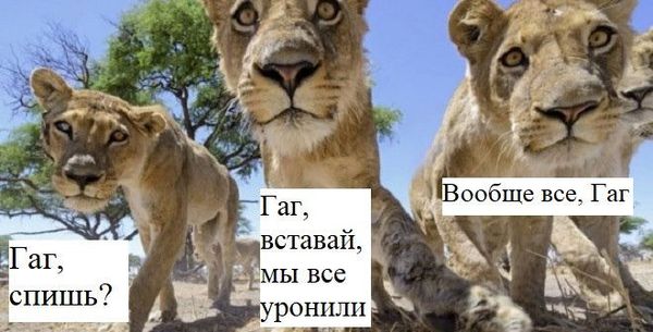 Гаг, мы все уронили: мемы вокруг Царукяна штурмуют соцсети - Sputnik Армения