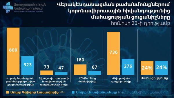 В Армении смертность от COVID-19 составляет 24% - Торосян объяснил, почему он доволен В Армении смертность от COVID-19 составляет 24% - Торосян объяснил, почему он доволен - Sputnik Армения