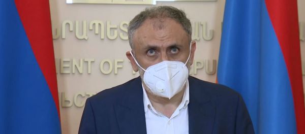 Директор издательского дома Антарес Армен Мартиросян на онлайн брифинге (26 июня 2020). Еревaн - Sputnik Արմենիա