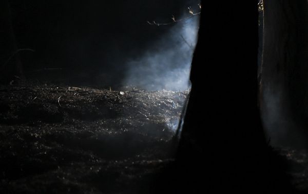 Остатки пожара в Цицернакаберде (26 июня 2020). Еревaн Остатки пожара в Цицернакаберде (26 июня 2020). Еревaн - Sputnik Армения