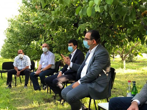 Խաղողի բերքն առատ կլինի, լրացուցիչ վարկ կտրամադրվի. նախարարն ու գինեգործները հանդիպել են - Sputnik Արմենիա