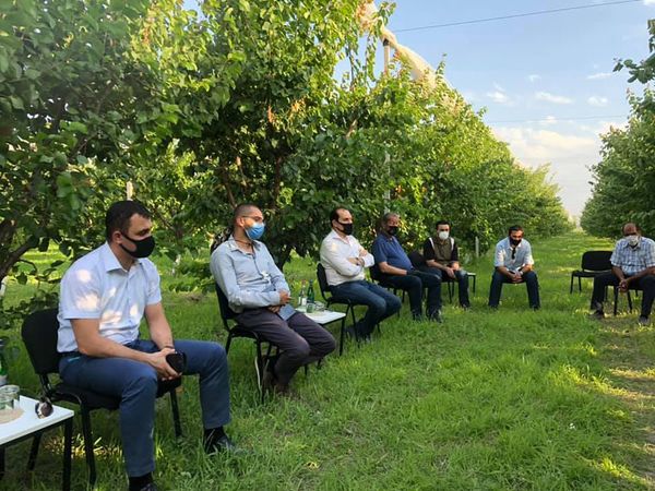 Խաղողի բերքն առատ կլինի, լրացուցիչ վարկ կտրամադրվի. նախարարն ու գինեգործները հանդիպել են - Sputnik Արմենիա