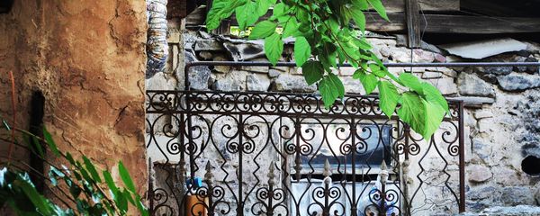 Дворик старинного здания на улице Фирдоуси (1 июля 2020). Еревaн Дворик старинного здания на улице Фирдоуси (1 июля 2020). Еревaн - Sputnik Армения