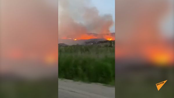 Հրդեհ Վայոց Ձորում - Sputnik Արմենիա