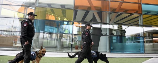 Аэропорт Звартноц после сообщения о бомбе - Sputnik Армения