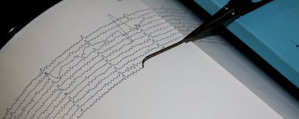 сейсмограф - Sputnik Армения