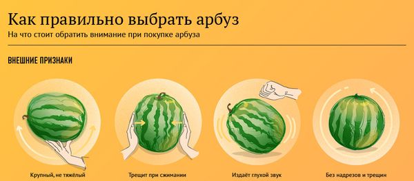 Инфографика. Как выбрать спелый и сочный арбуз - Sputnik Армения
