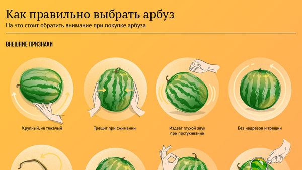 Инфографика. Как выбрать спелый и сочный арбуз - Sputnik Армения