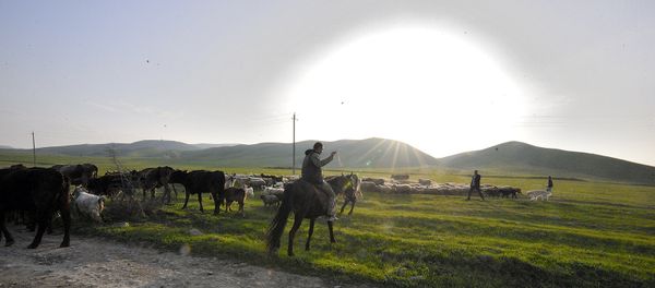 Талыш после обстрелов - Sputnik Արմենիա