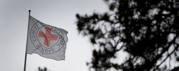 Флаг организации Красного креста - Sputnik Армения