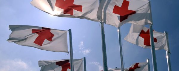 Флаги организации Красного креста - Sputnik Армения