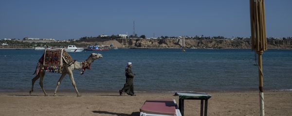 На территории одного из отелей Шарм-эш-Шейха. - Sputnik Արմենիա