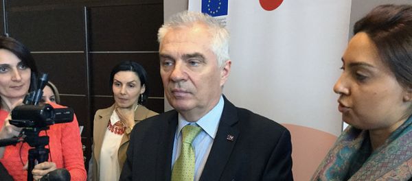 Руководитель делегации ЕС в Армении, посол Петр Свитальский - Sputnik Армения