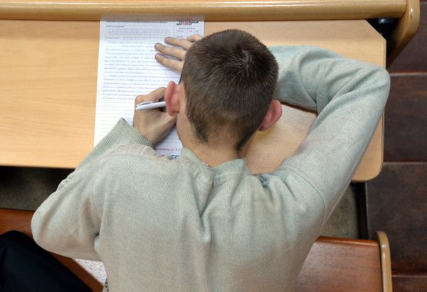 Участник акции Тотальный диктант, Архивное фото - Sputnik Армения