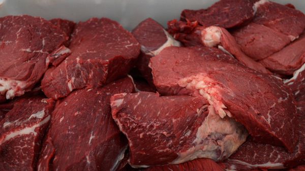 Мясоперерабатывающее предприятие АПХ Мираторг в Брянской области Мясоперерабатывающее предприятие АПХ Мираторг в Брянской области - Sputnik Армения