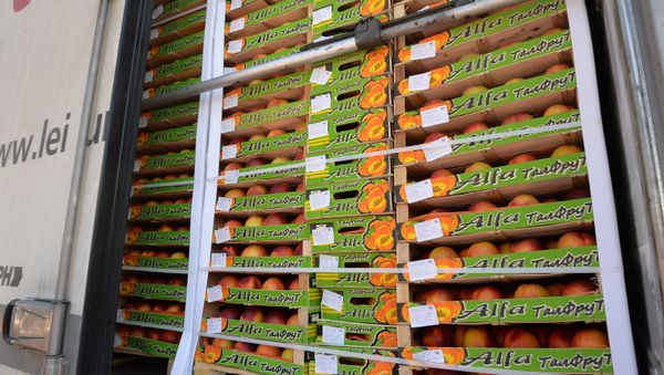 Уничтожение санкционной продукции - Sputnik Армения