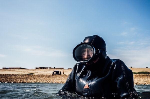 Сборщики водорослей - Sputnik Армения