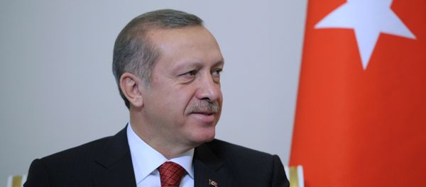 Президент Турции Тайип Эрдоган. Архивное фото. Президент Турции Тайип Эрдоган. Архивное фото. - Sputnik Армения