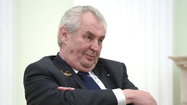 Президент России В.Путин встретился с президентом Чешской Республики М.Земаном - Sputnik Արմենիա