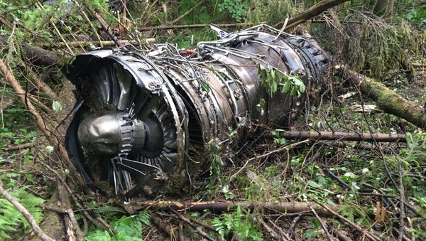 Крушение истребителя Су-27 в Подмосковье - Sputnik Армения