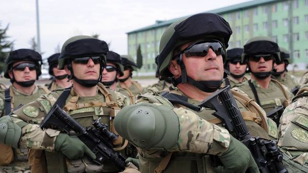 Грузинские военные - Sputnik Армения