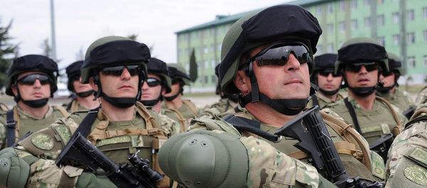 Грузинские военные - Sputnik Армения