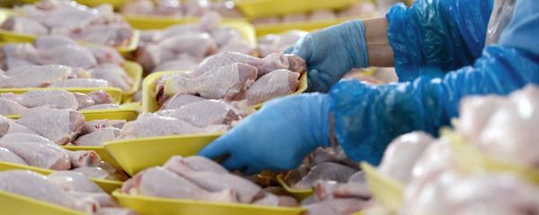 Куриное мясо Куриное мясо - Sputnik Армения