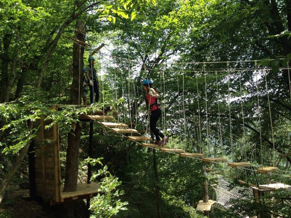 Rope Park (веревочный парк - это система подвесных платформ, связывающих деревья) - Sputnik Армения