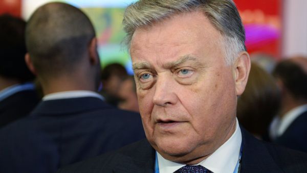Петербургский международный экономический форум 2015 (ПМЭФ). День второй Петербургский международный экономический форум 2015 (ПМЭФ). День второй - Sputnik Армения