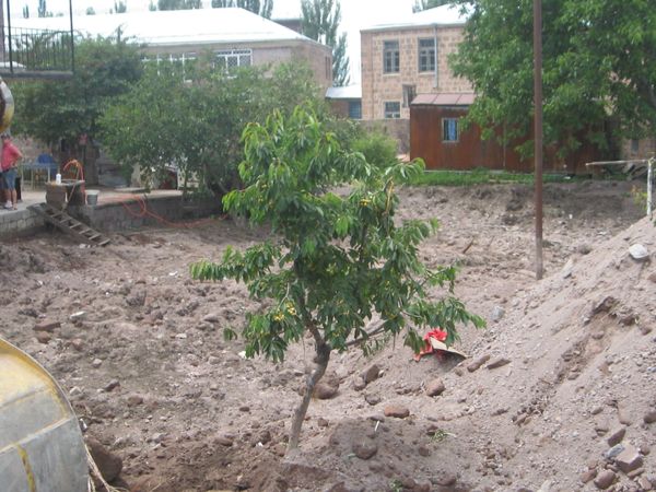 Новоднение в Артике - Sputnik Արմենիա