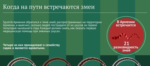 Когда на пути встречаются змеи Когда на пути встречаются змеи - Sputnik Армения