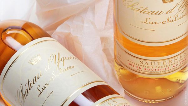 Вино Château d’Yquem Вино Château d’Yquem - Sputnik Արմենիա
