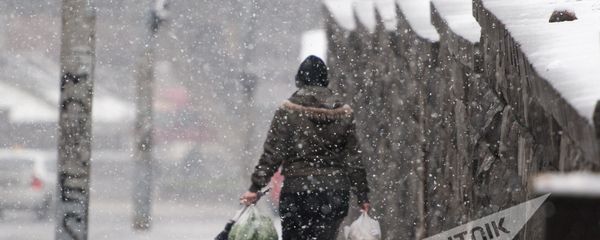 В Ереване пошел первый снег, 2016г. В Ереване пошел первый снег, 2016г. - Sputnik Армения