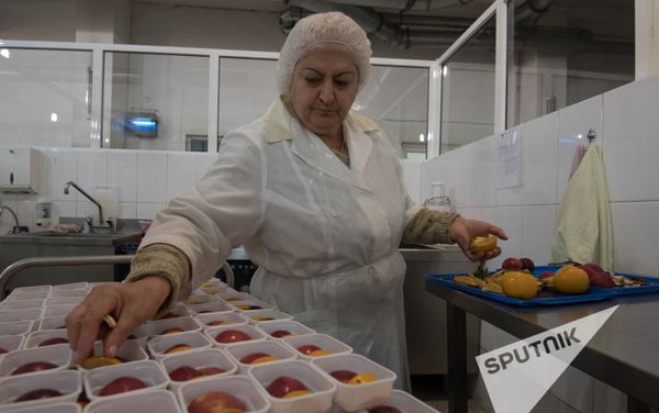 Компания ЗАО Авиа-сервис поставляет бортовое питание на лайнер французской авиакомпании Эйр Франс - Sputnik Армения