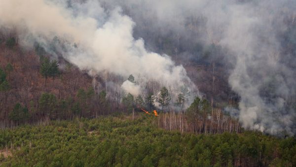 Природные пожары - Sputnik Армения