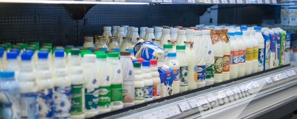 Молочные продукты в магазине Молочные продукты в магазине - Sputnik Արմենիա