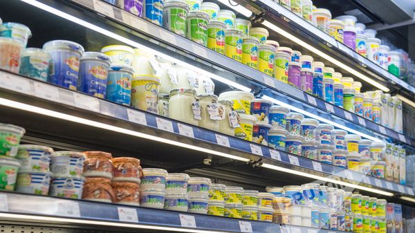 Молочные продукты в магазине  - Sputnik Армения
