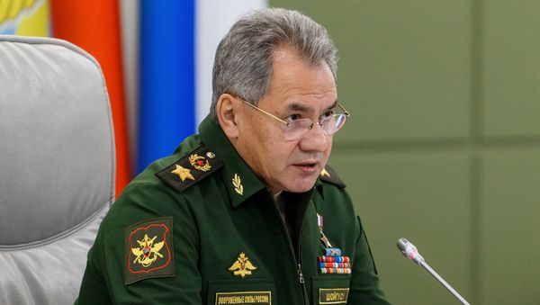 Министр обороны РФ Сергей Шойгу Министр обороны РФ Сергей Шойгу - Sputnik Армения