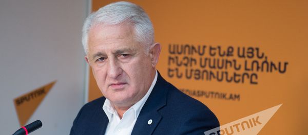 Основатель авиакомпании Армения Тамаз Гаиашвили - Sputnik Армения