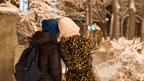 Заснеженный Ереван - Sputnik Армения
