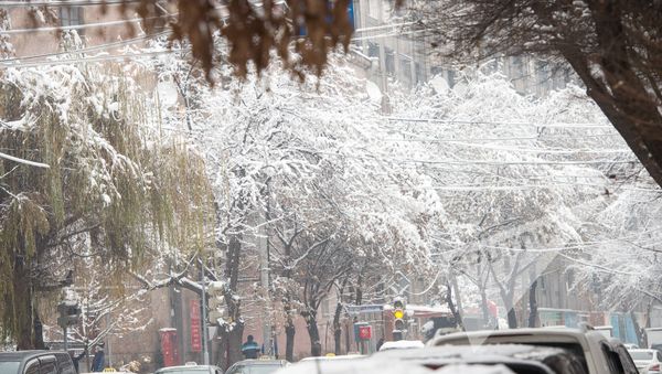 Заснеженный Ереван - Sputnik Армения