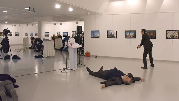 Убийство посла России в Турции  - Sputnik Армения