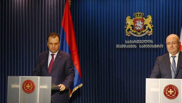 Министр обороны Армении Виген Саргсян и министр обороны Грузии Леван Изория - Sputnik Արմենիա