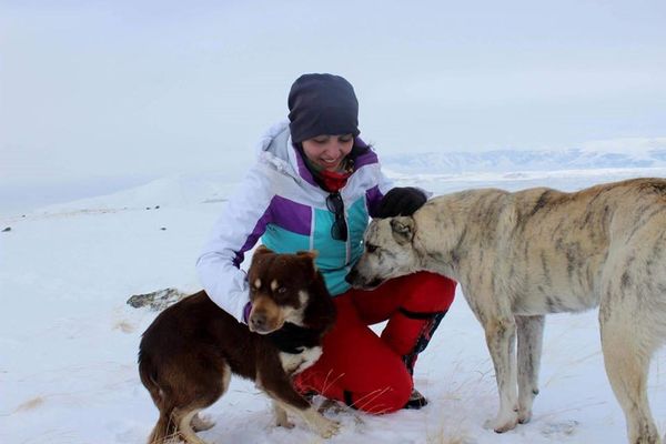 Тасман и Корка сопровождали альпинистов во время одного из походов Тасман и Корка сопровождали альпинистов во время одного из походов - Sputnik Армения