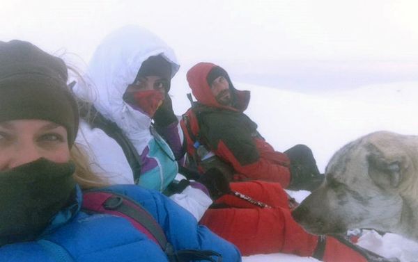 Тасман и Корка сопровождали альпинистов во время одного из походов Тасман и Корка сопровождали альпинистов во время одного из походов - Sputnik Армения