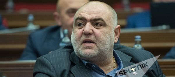 Сейран Сароян. Заседание Национального собрания РА, 08.02.2017 - Sputnik Արմենիա
