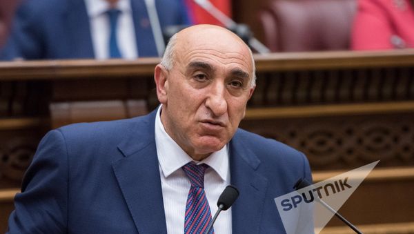 Давид Локян. Заседание Национального собрания РА, 08.02.2017 - Sputnik Արմենիա